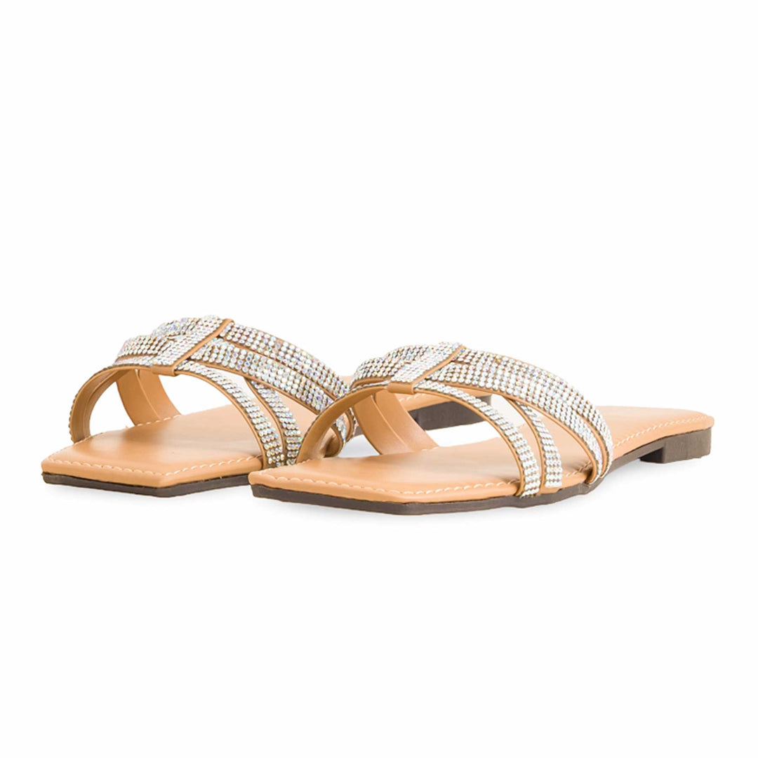 Fawn Casual Women Slipper CL1963