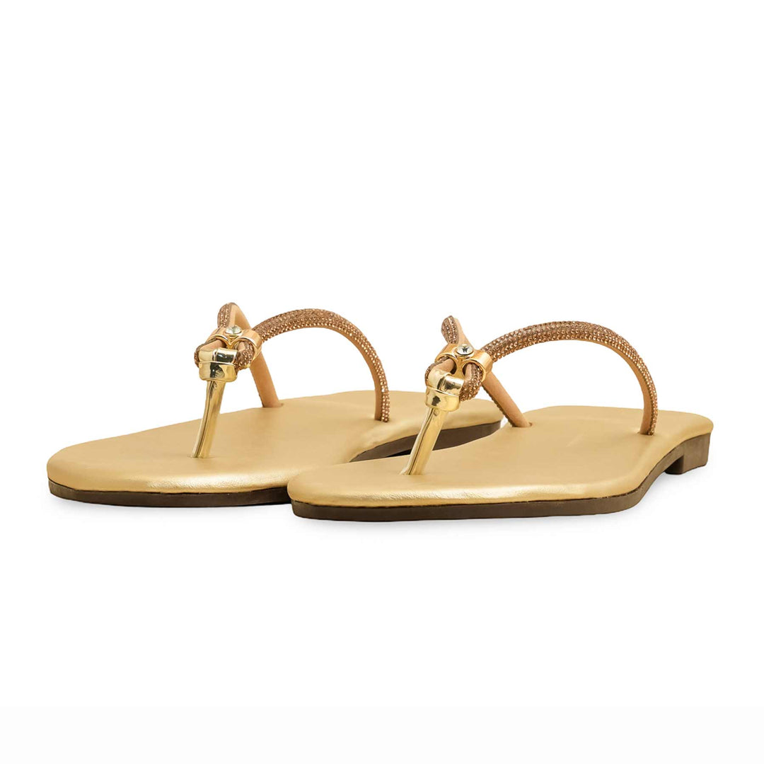 Golden Casual Women Chappal CL2111