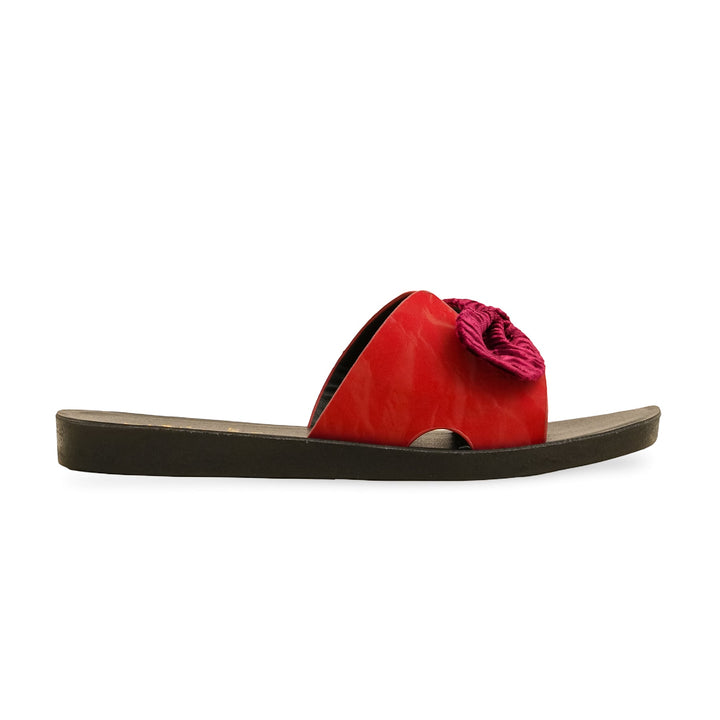 Maroon Casual Softy CL5487