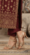 Peach Fancy Sandal FN6213