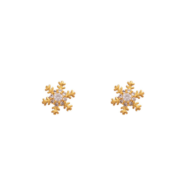 Earrings- J0579315