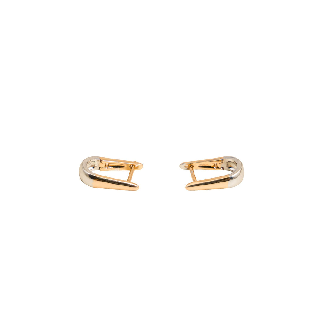 Earrings- J0610374