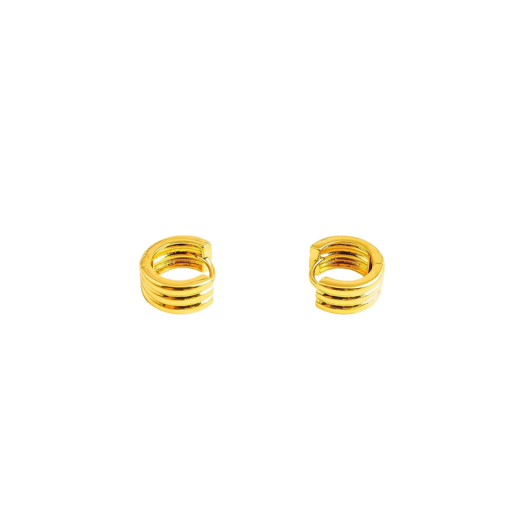 Earrings -J0620915