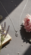 Silver Pendant J42946