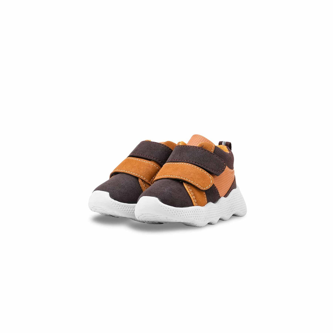 Boys Brown Casual Jogger KD8102
