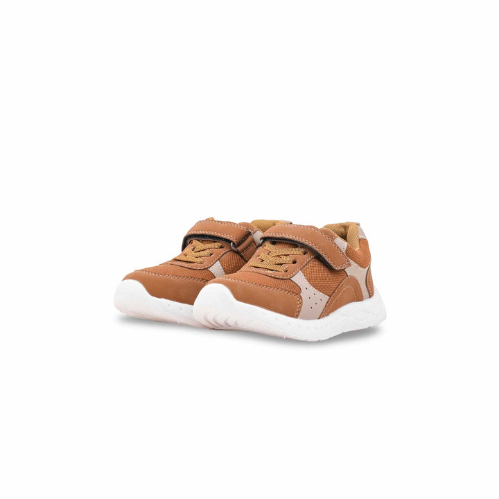 Boys Brown Casual Jogger KD8152