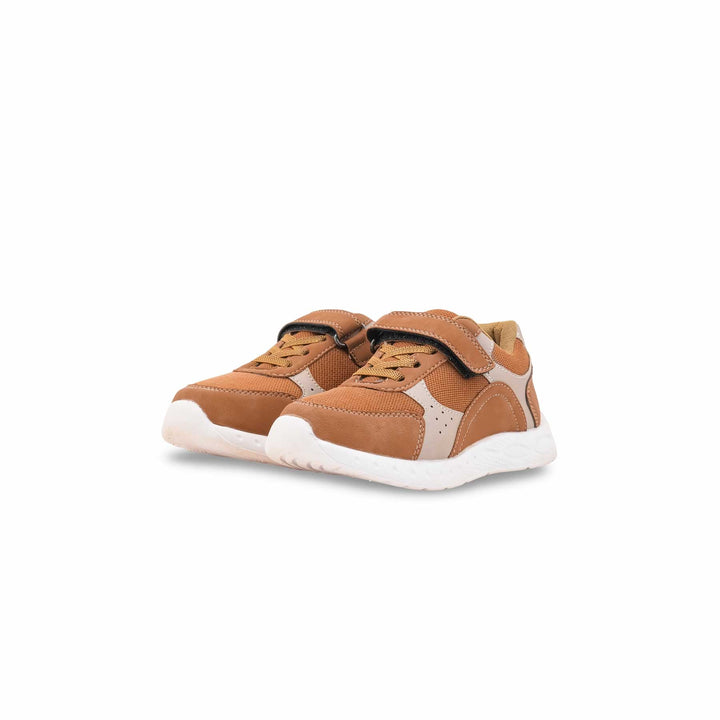 Boys Brown Casual Jogger KD8153
