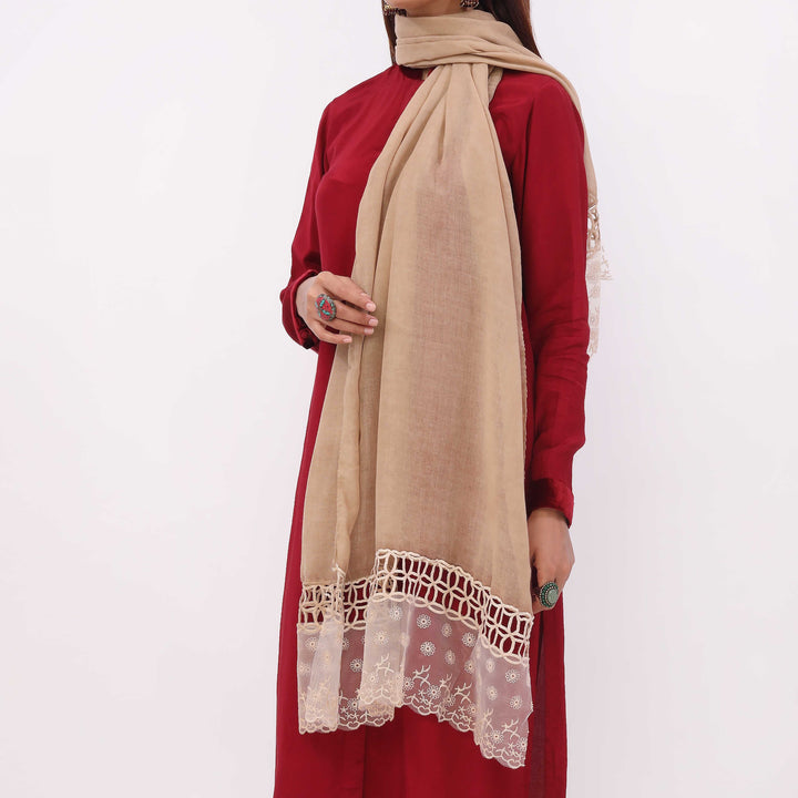 Brown Embroidered Stole PD5339