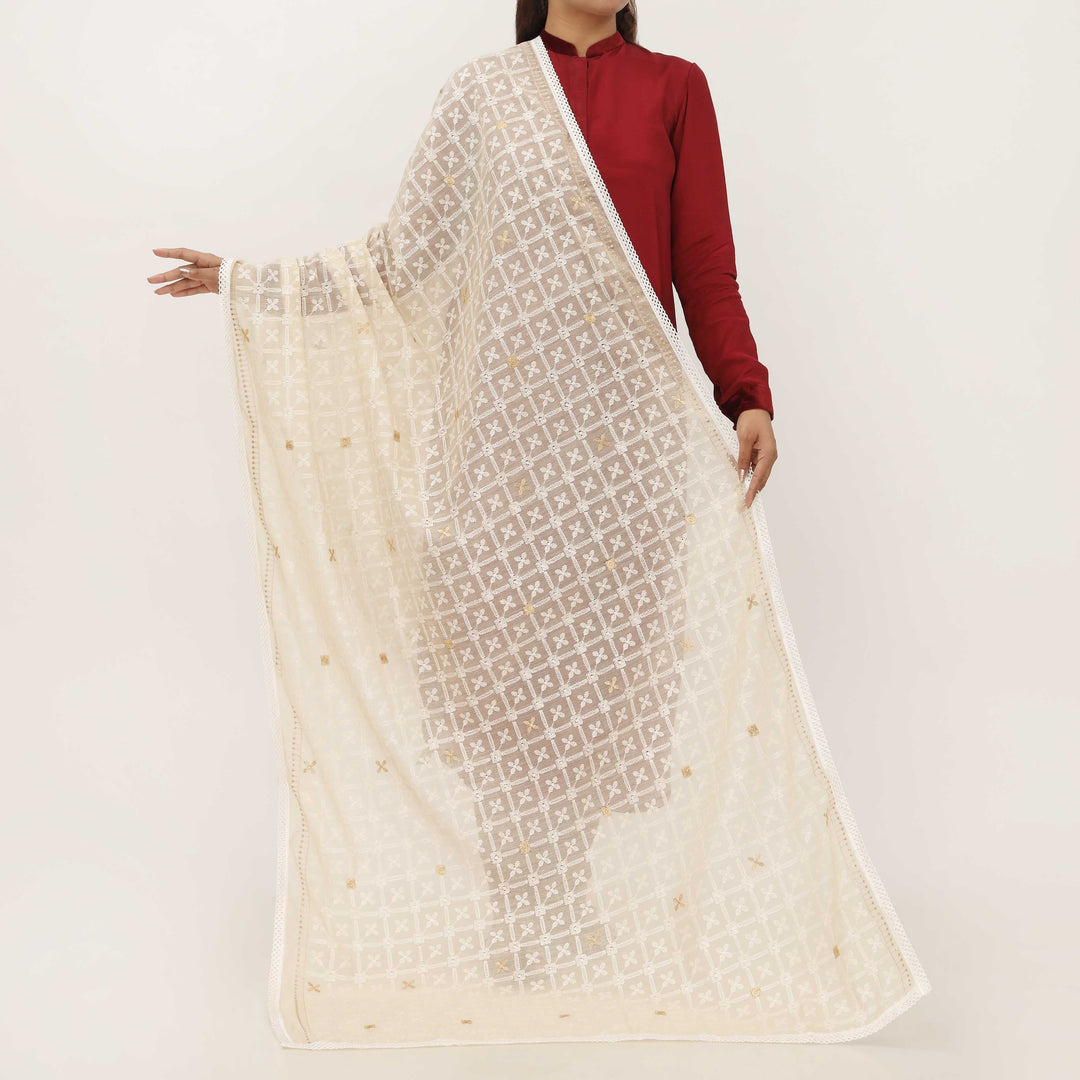 Beige Embroidered Dupatta PD5425