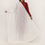 White Embroidered Dupatta PD5463