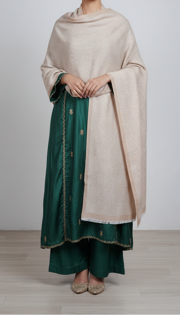 Beige Winter Stole PN5062