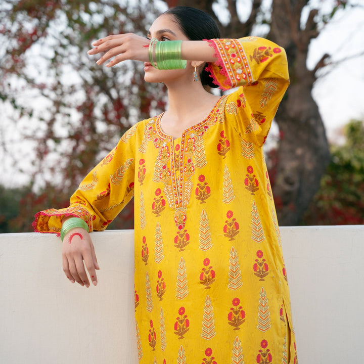2PC- Digital Printed Cotton Cambric Suit PS5229