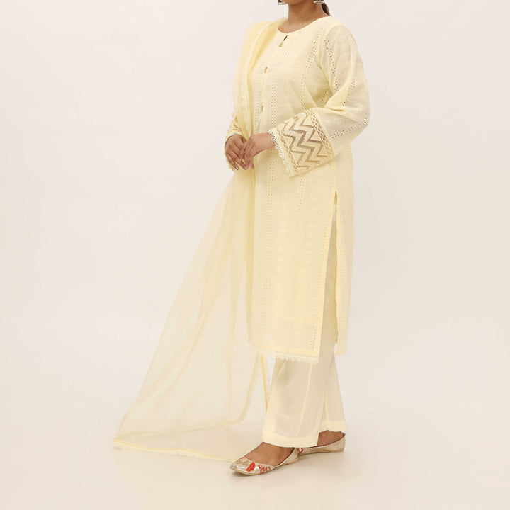 3PC- Chikankari Schifili Suit PS5321