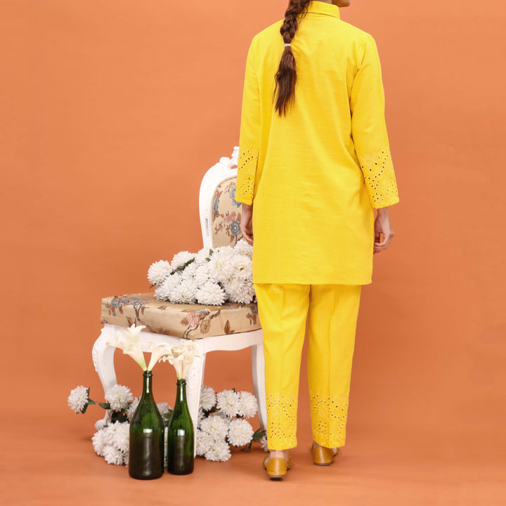 2PC- Embriodered Khaddar Suit PW4195