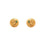Earrings- T0095511