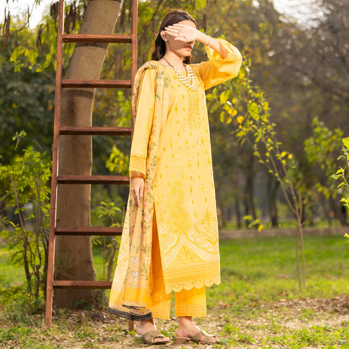 طقم قماش مطرّز غير مخيط 3 قطع US5386